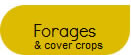 forages